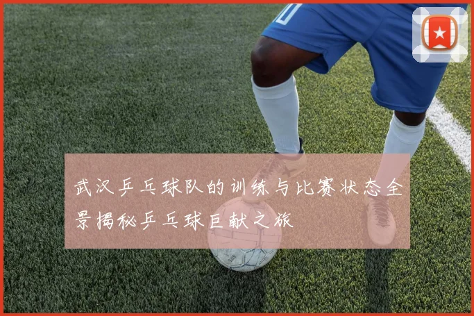 武汉乒乓球队的训练与比赛状态全景揭秘乒乓球巨献之旅